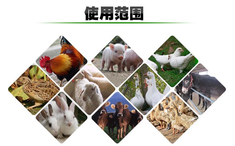 烘干機(jī)