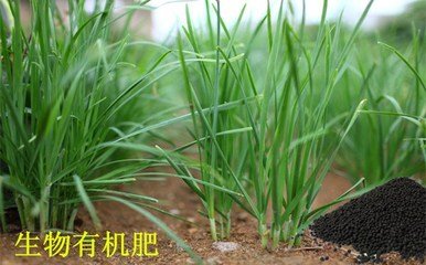 生物有機肥