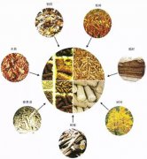 生物質燃料充當干燥設備熱源有哪些意義?