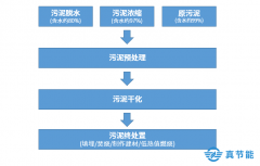 污泥處置詳解：危廢污泥處理的步驟是什么？